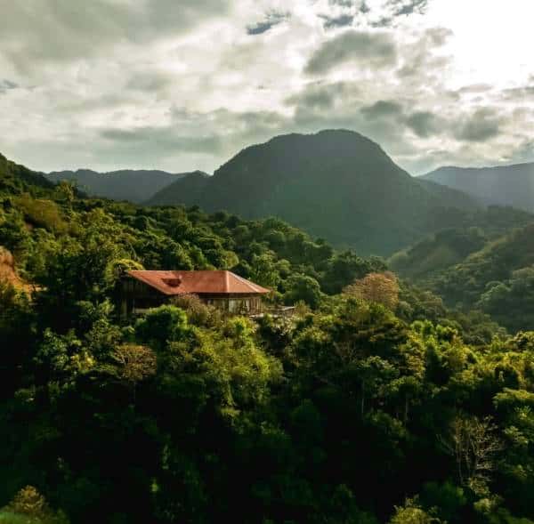 Flying Pumas Sunrise | 1 Hour Focus Ambient