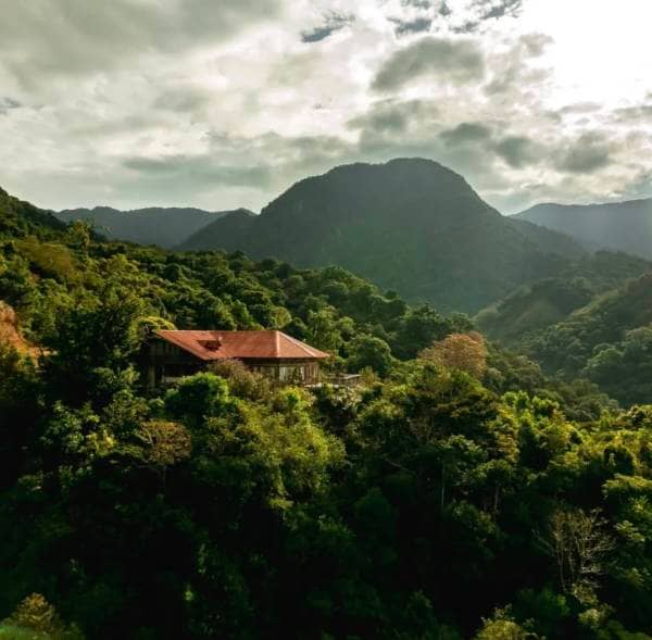 Flying Pumas Sunrise | 1 Hour Focus Ambient