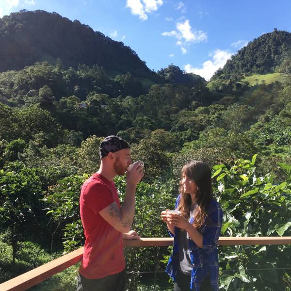 Coffee Farm Café Ambience | 1 Hour Background Music cover art