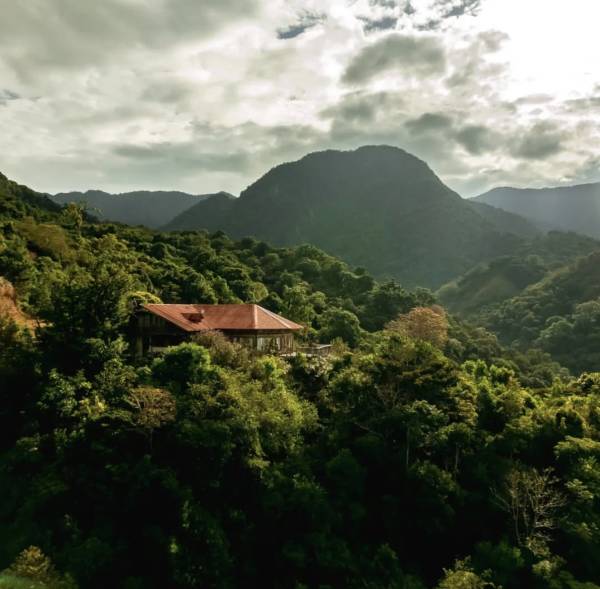 Flying Pumas Aerial | 1 Hour Cinematic Drone Ambient cover art