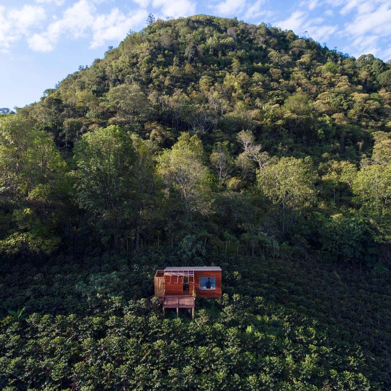 La Palma & El Tucán coffee farm