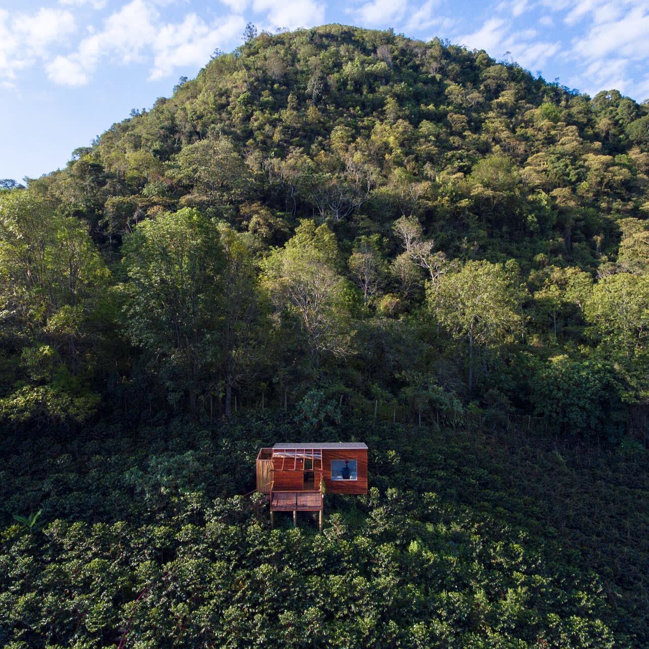 La Palma & El Tucán coffee farm