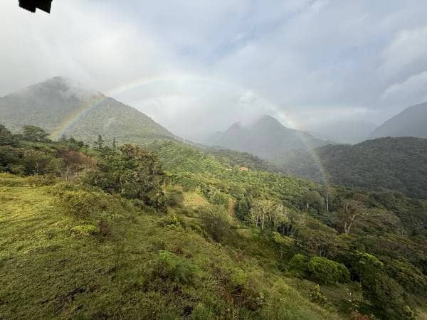 Volcanic Rain in Chiriquí | 1 Hour Deep Sleep