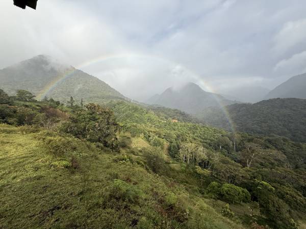 Volcanic Rain in Chiriquí | 1 Hour Deep Sleep cover art